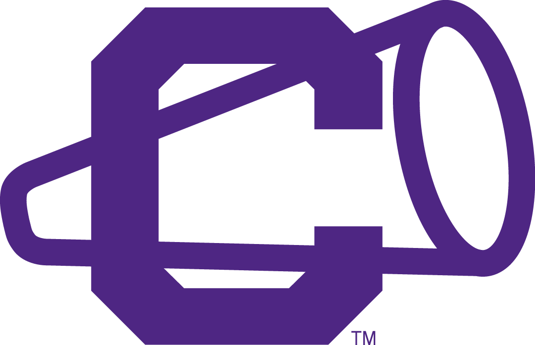 Clemson Tigers 1951-1964 Alternate Logo v2 DIY iron on transfer (heat transfer)